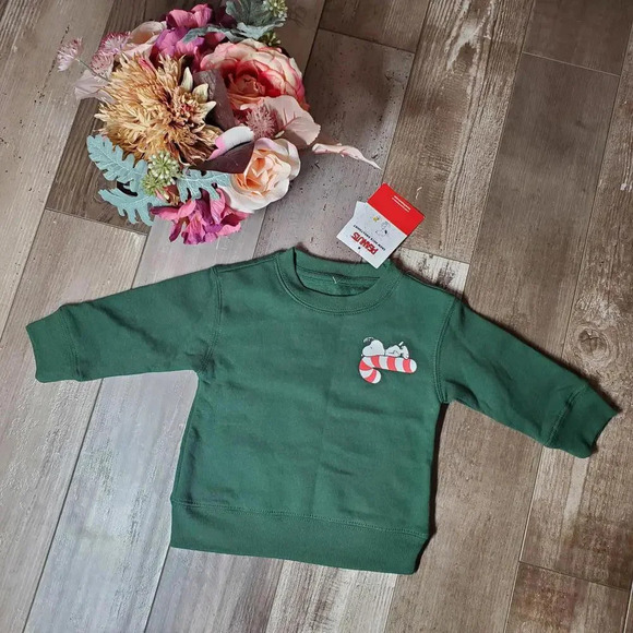 NWT Peanuts Snoopy Christmas Pullover Crewneck Sweatshirt Size 12m Green - Picture 3 of 16